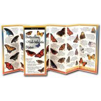 BUTTERFLIES OF THE MID-ATLANTIC STATES