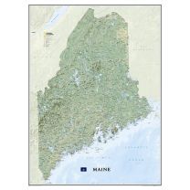 WALL MAP_603317